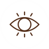 Vision Icon